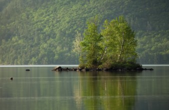 Horizontal pictures of the landscape inside Ontario's Driftwood Provincial Park located along the