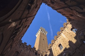 Torre del Mangia Tower photographed from the courtyard of Palazzo Publico, Siena, Tuscany, Italy
