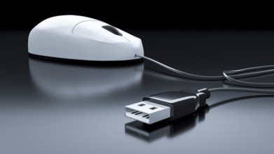 An image of a typical computer mouse