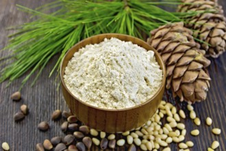 Flour cedar in a wooden bowl, cedar nuts and two cones, cedar branch with green needles on the