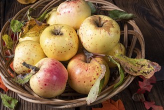 Frische und leckere bio-äpfel in einem korb