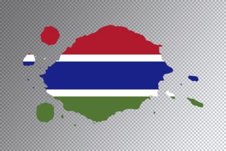 Gambia flag brush stroke, national flag on transparent background