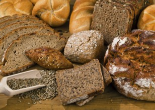 Several different types of bread. Healthy nutrition through fresh baked goods. Austria