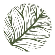 Abstract eco theme, circle with leaf veins over white