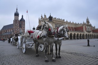 Horse and cart on the main market square in Krakow