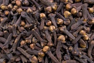 Aromatic Cloves in Rich Brown Tones, Full Frame View, Top View
