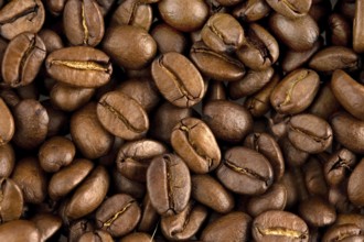 Freshly roasted coffee beans, coffee, beverage, food studio shot, Federal Republic of Germany