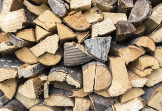 Stacked firewood in preparation for winter. Dry wood. Ideal for concepts and backgrounds