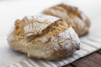 Extreme clos-up of rustic Italian bread, isolated on background out of focus