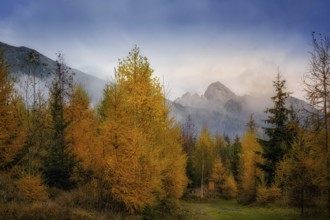 Beautiful Slovak unspoilt nature, a wonderful destination for vacation and relaxation