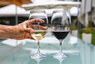 Man hand on white wine glass, pair of white and red wines glasses close up selective focus,