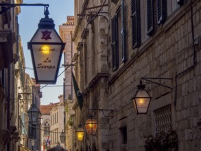 Street at night with illuminated lanterns and various shop signs in front of old buildings,