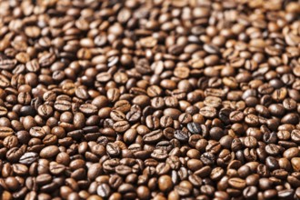 Brown roasted raw coffee bean heap background