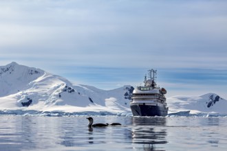 A ship in the calm sea surrounded by icebergs under a blue sky in the polar region, cruise ship in