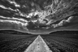 Biking way, near Oberweser, Weser Uplands, Weserbergland, Hesse, Germany