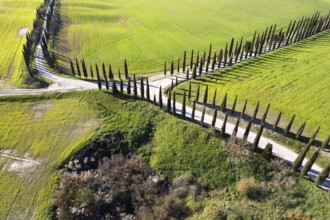 Aerial photographic documentation of a white road in Tuscany Italy