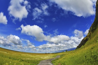Warm summer days in Iceland. Footpath among the green meadows