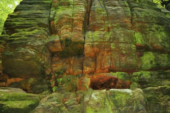 Sandstone on the Malerweg, in Uttewalder Grund, Saxon Switzerland.Saxon switzerland