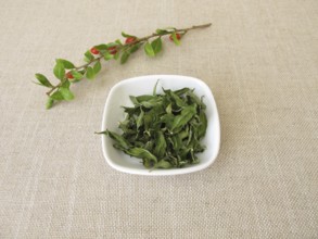 Dried goji leaves in a bowl and a fresh goji branch