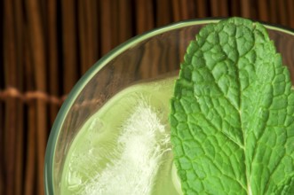 Green cocktail with cubes ice. Close up glass and mint leaves