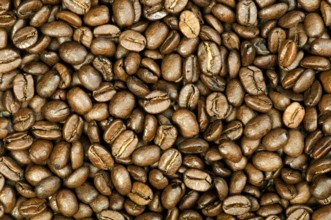 Coffee beans background