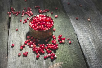 Cranberries in einer Schüssel
