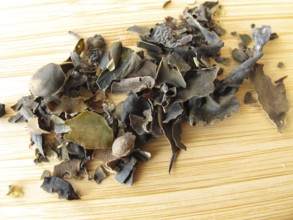 Tang, Fucus