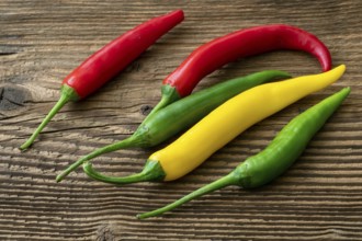 Spicy chilies peppers on wooden background. Colorful peppers on rustic wooden table. Raw healthy