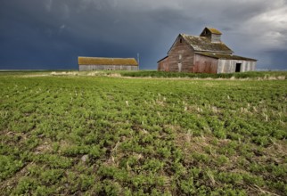 Abandoned Farm with storm clouds in the Canadian Prairie