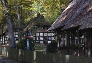 Heath Museum in the Town Walsrode, Lower Saxony, Germany. Heath Museum in autumn in the town of