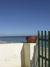 Still life on the beach