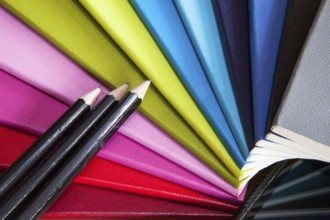 Diaries For All Twelve Months