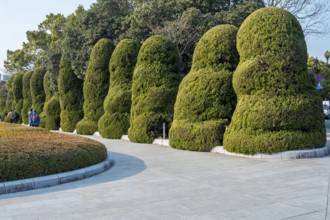 Artfully pruned bushes in Hiroshima Peace Park