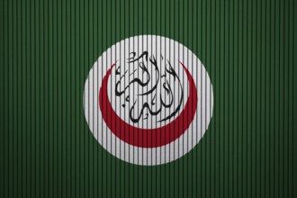 OIC Flag painted on the cracked grunge concrete wall, Organisation of Islamic Cooperation