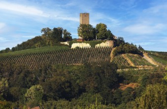 Ravensburg Castle, Sulzfeld in Kraichgau, Baden-Württemberg, Germany