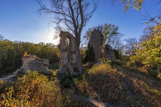 Stecklenburg castle ruins, Harz district