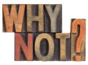 Why not question in vintage letterpress wood type blocks, stained by ink, isolated on white
