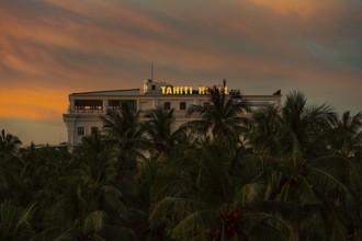 A tranquil view of a hotel amongst palm trees during sunset, nigtht, city, architecture, night