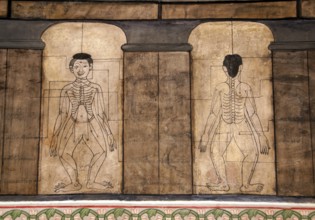 Thai massage, like Traditional Thai Medicine more generally, is a combination of influences from