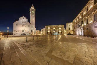 The Piazza Duomo with the famous cathedral in Trani, Apulia, by night