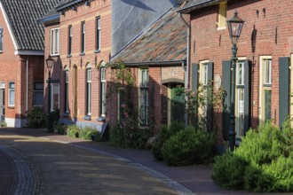 Cobbled alleyway with brick houses, shutters and small gardens with flowers, bredevoort,
