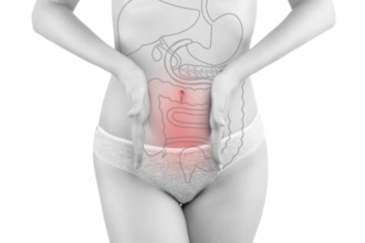 Intestine pain. Beautiful woman photography isolated on white background with inner organs