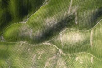 Aerial photographic documentation of the shapes of cultivated fields in Tuscany Italy