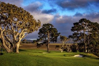 Pebble Beach golf course, Monterey, California, usa