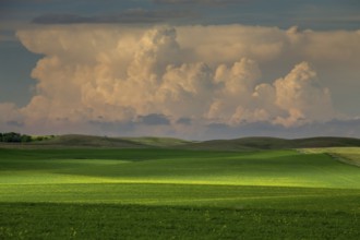 Summer Storms in the Canadian Prairies Dramatic Scenes