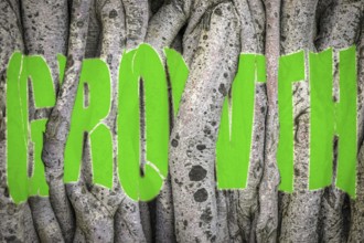 Conceptual Image Of The Word Growth Twisted And Torn Behind The Vines Of A Tree