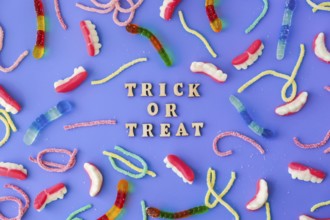 Halloween concept. Halloween party decorations with words TRICK OR TREAT, sweets, top view flat lay