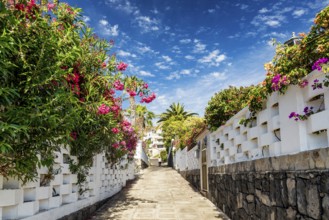 Flowered alley street in los gigantes residential area tenerife spain
