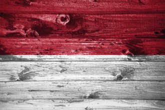 Indonesia flag on wooden planks background wood flag