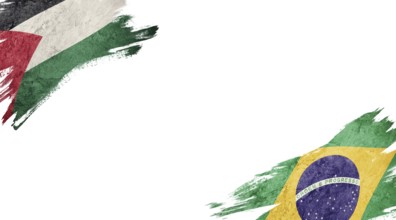 Flags of Palestine and Brasil on white background